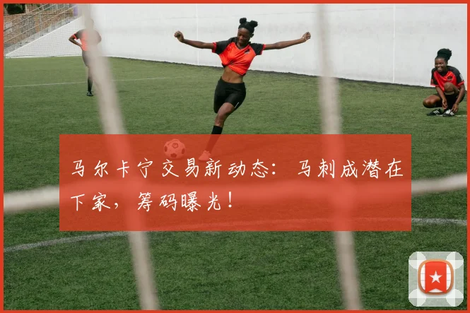 马尔卡宁交易新动态:马刺成潜在下家,筹码曝光!