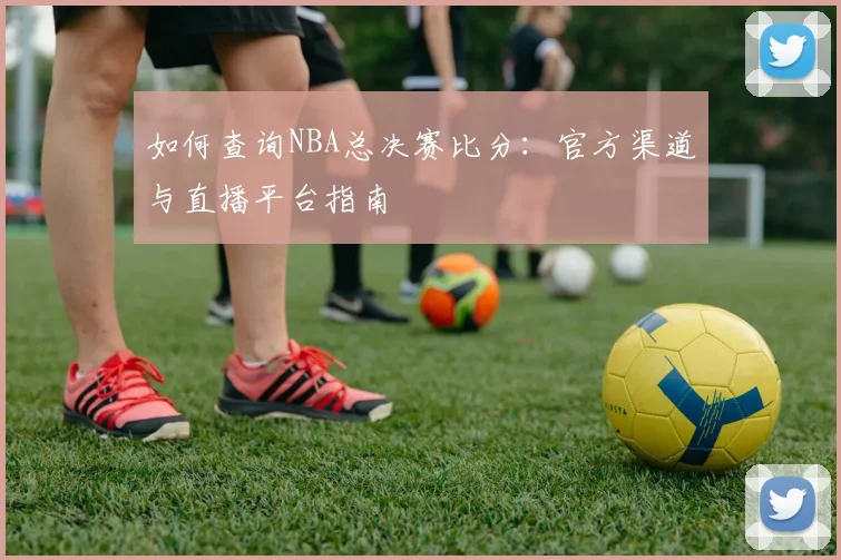 如何查询NBA总决赛比分:官方渠道与直播平台指南
